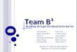 Team B³
