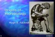Origins of  Microbiology
