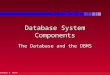 Database System Components