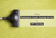 Benefits of Hiring a Professional Carpet Cleaning Service