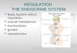 REGULATION  THE ENDOCRINE SYSTEM