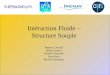 Intéraction Fluide – Structure Souple