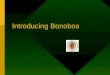 Introducing Bonobos