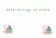 Microbiology of Water