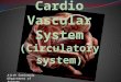 Cardio Vascular System (Circulatory system)