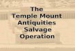 The  Temple Mount  Antiquities  Salvage Operation