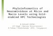 Phyloinformatics of Neuraminidase at Micro and Macro Levels using Grid-enabled HPC Technologies