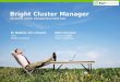 Bright Cluster Manager Advanced cluster management made easy