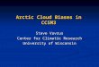 Arctic Cloud Biases in CCSM3