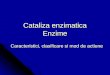 Cataliza enzimatica Enzime