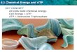 KEY  CONCEPT  All cells need chemical energy. Cell Energy = ATP ATP = Adenosine Triphosphate