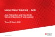 Large Class Teaching – SAB Joan Richardson and Ross Smith School of Business IT and Logistics