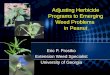 Adjusting Herbicide Programs to Emerging Weed Problems  in Peanut