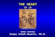THE HEART Ch 19 Human Anatomy Sonya Schuh-Huerta, Ph.D