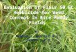 Evaluation of Flair 50 EC Herbicide  for  Weed Control in Rice Paddy Fields