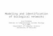 Modeling and identification of biological networks