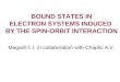BOUND STATES IN ELECTRON SYSTEMS INDUCED  BY THE SPIN-ORBIT INTERACTION