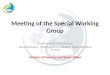 Meeting of the Special Working Group