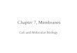 Chapter 7, Membranes