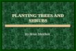 PLANTING TREES AND SHRUBS