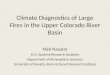 Climate Diagnostics of Large Fires in the Upper Colorado River Basin