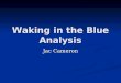 Waking in the Blue Analysis