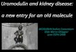 Uromodulin and kidney disease:  a new entry for an old molecule