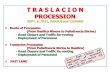 T R A S L A C I O N PROCESSION SEPT. 9, 2011, 5:00AM and 12:00NN  Route of Procession