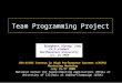 Team Programming Project