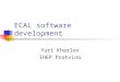 ECAL software development