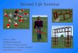Second Life  Seminar