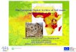 The European Digital Archive of Soil maps:  The Soil Maps of Africa