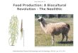 Class Slides Set 32 Food Production: A Biocultural Revolution – The Neolithic