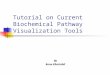 Tutorial on Current Biochemical Pathway Visualization Tools