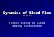 Dynamics of Blood Flow 11.12.12