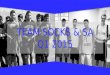 TEAM SOCKS & SA  Q1 2015