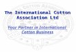 The  International Cotton Association Ltd Your Partner in International  Cotton Business