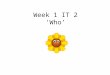 Week 1 IT 2 ‘Who’