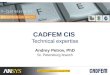 CADFEM CIS  Technical expertise