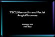 TSC1/Hamartin and Facial Angiofibromas