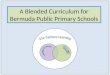A Blended Curriculum for Bermuda Public  Primary  Schools