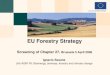 EU Forestry Strategy Screening of Chapter 27,  Brussels 5 April 2006