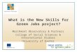 What is the New Skills for Green Jobs project?