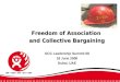 Freedom of Association  and Collective Bargaining GCC Leadership Summit 08 18 June 2008 Dubai, UAE
