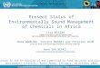 Present Status of Environmentally Sound Management of Chemicals in Africa
