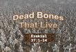 Dead Bones That Live