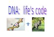 DNA:  life's code