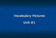 Vocabulary Pictures Unit #1