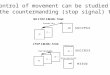 The control of movement can be studied with the countermanding (stop signal) task