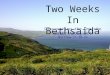 Two Weeks In Bethsaida